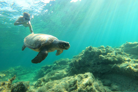 Salalah: Ontdek het snorkelparadijs van Mirbat met een rondleiding