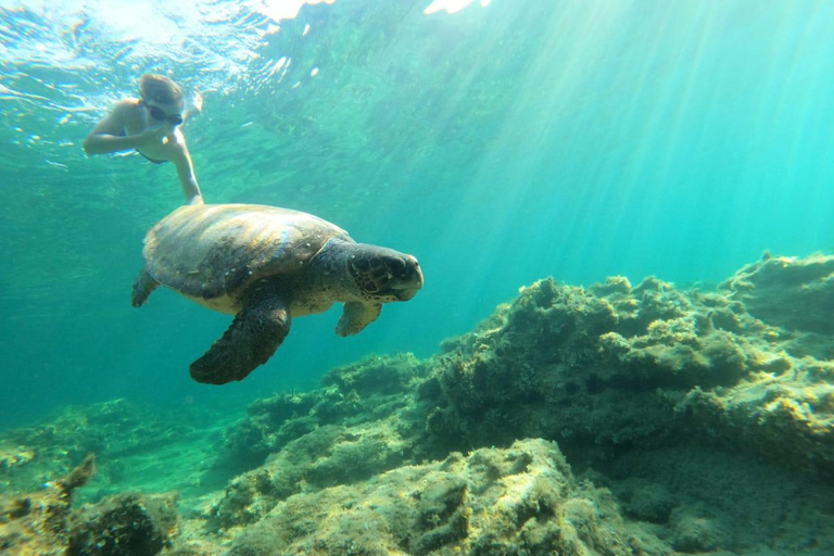 Salalah: Ontdek het snorkelparadijs van Mirbat met een rondleiding