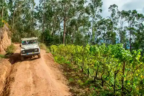 Madeira: Safari del Vino en Jeep con Guía Local