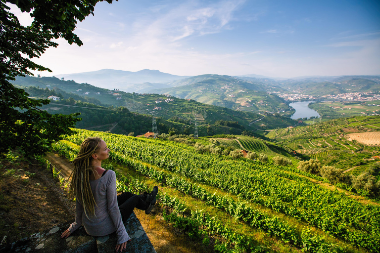 Porto: Vinresa Vintur i Dourodalen med en sommelier och båttur