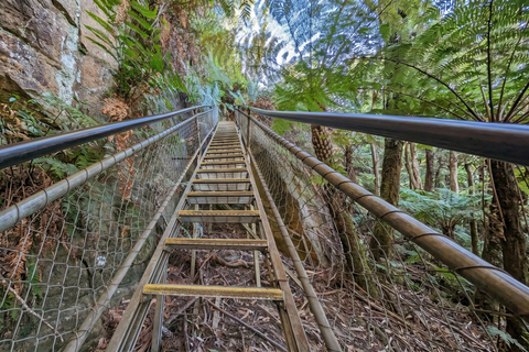 Blue Mountains Active Hike Tour from Sydney: No Rides Sydney: Blue Mountains Active Eco-Hike Tour (No Rides)