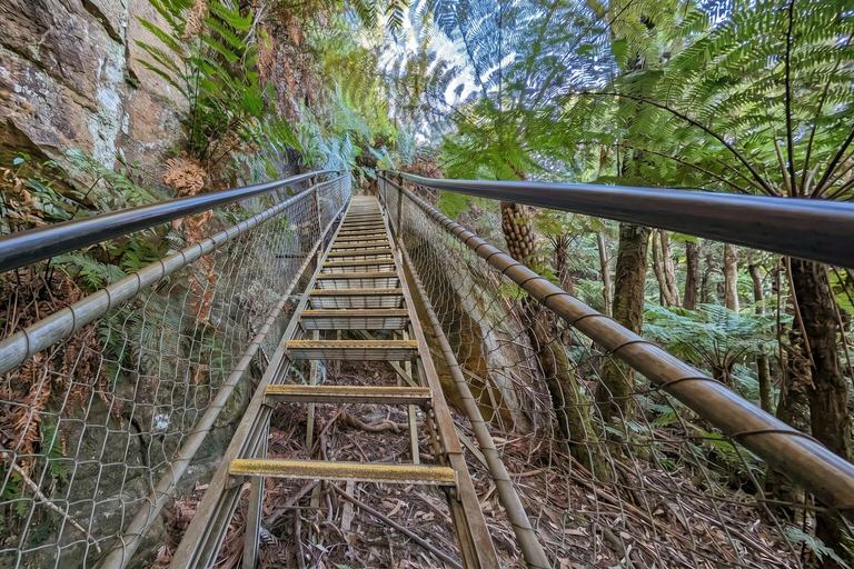 Blue Mountains Active Hike Tour from Sydney: No Rides Sydney: Blue Mountains Active Eco-Hike Tour (No Rides)