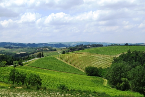 Toscana: tour de día completo en minivan de lujo con Siena y PisaExcursión de un día con recogida y regreso al hotel en Florencia