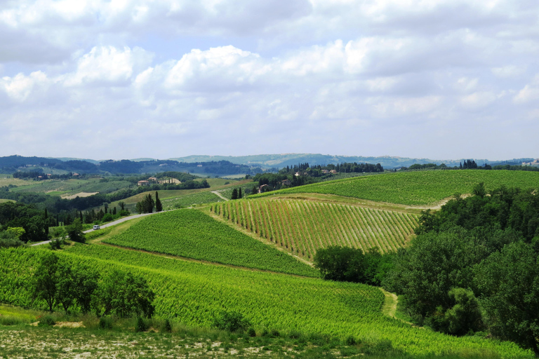 Toskana: Ganztägige Luxus-Minivan-Tour mit Siena und PisaTagesausflug mit Abholung und Rückgabe vom Hotel in Florenz