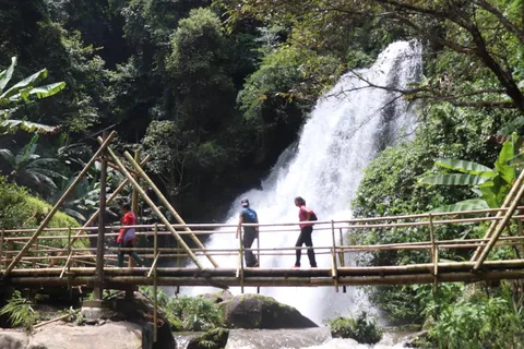 Chiang Mai: Doi Inthanon National Park+Trek Pha Dok Siew