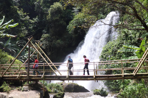 Chiang Mai: Mae Ya Waterfall & Pha Dok Siew Trail Trek Small Group Tour With Meeting Point Pickup