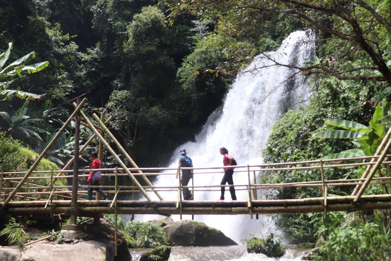 Chiang Mai: Cascada de Mae Ya y Senda de Pha Dok SiewTour privado con servicio de recogida del hotel