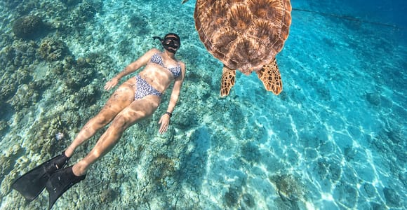 From Lombok: 3-Gili Islands Snorkeling with Turtles & Reefs