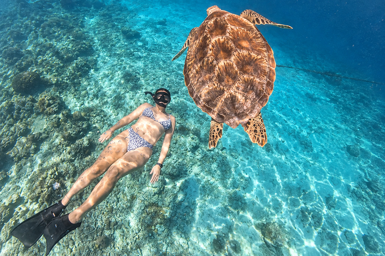 From Gili Air: Snorkelling Trip with Turtles, Statue & GoPro From Gili Air: Shared Snorkeling with Turtles, Statue &GoPro