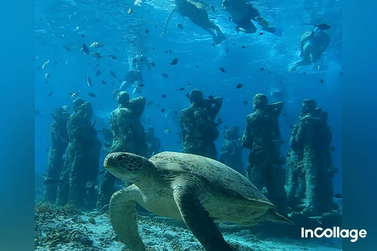 Gili eiland : Groep/Share Snorkeltour 3 gili eilandenGroep/Share Snorkeltour per Glazen Bodem Boot