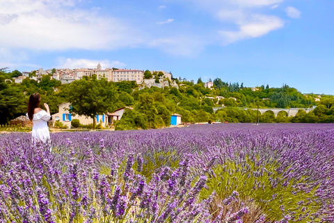 from Avignon: Lavender fields and villages in the Luberon
