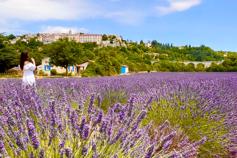from Avignon: Lavender fields and villages in the Luberon