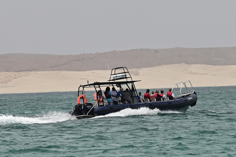 Boavista: Obserwacja wielorybów z zodiakiemBoavista: Obserwacja wielorybów Wycieczka Zodiac RIU Touareg Odbiór