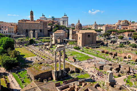 Rome: Colosseum, Roman Forum, and Palatine Hill Guided Tour Small Group