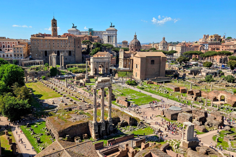 Rome: Colosseum, Roman Forum, and Palatine Hill Guided Tour Small Group