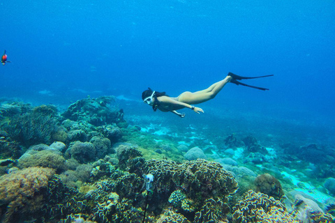 Labuan Bajo: Komodo National Park Private Speedboat Charter