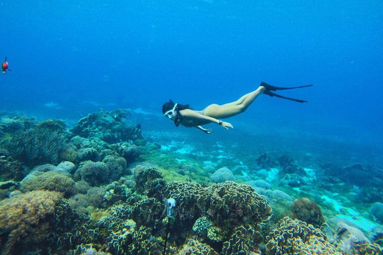 Labuan Bajo: Komodo National Park Private Speedboat Charter