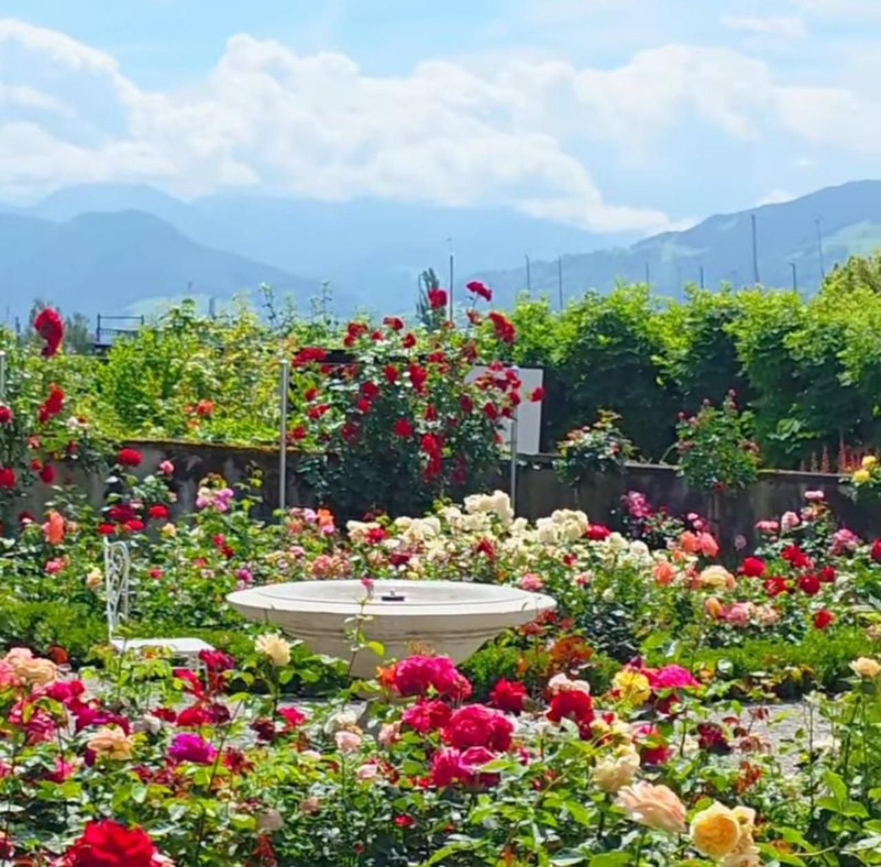 Premium-Tour: Schloss Rapperswil und die Heimat der Schweizer Tennisspielerin
