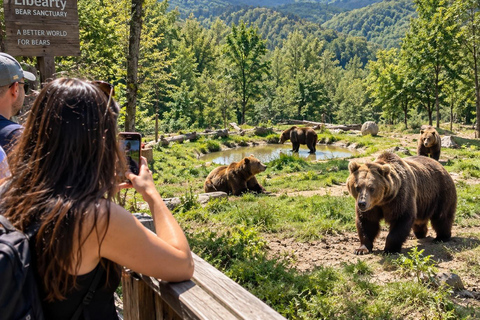 From Brașov: Bear Sanctuary with Ticket & Private Transport Brașov: Bear Sanctuary without Ticket & Private Transport