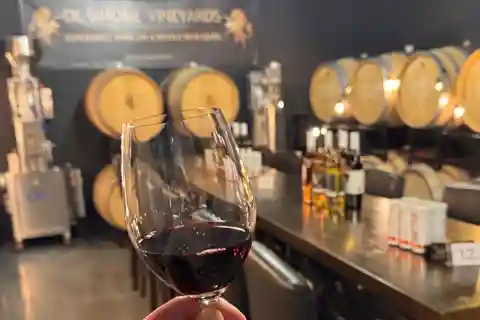 Relaksujący lunch i wycieczka po winiarskim kraju Niagara