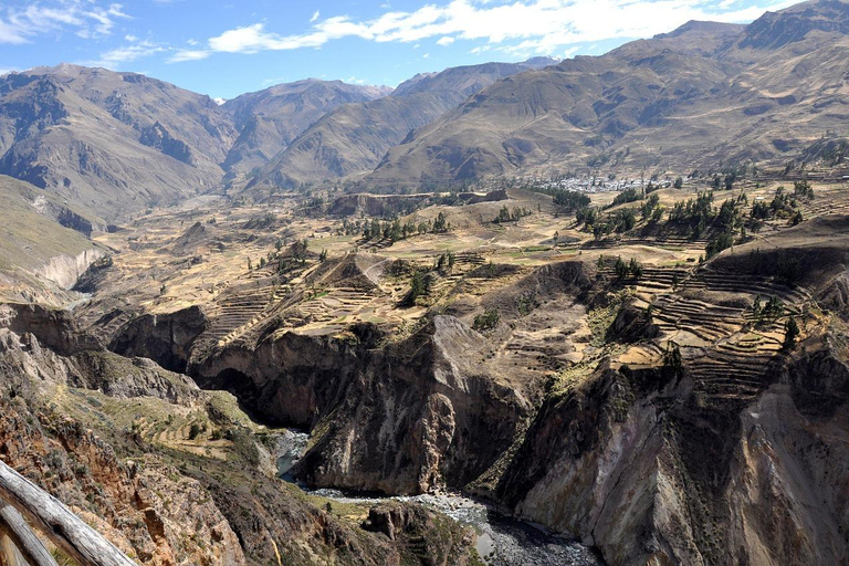 From Puno: Colca Canyon 2 days ending in Arequipa From Puno: Colca Canyon 2 days, ending in Arequipa