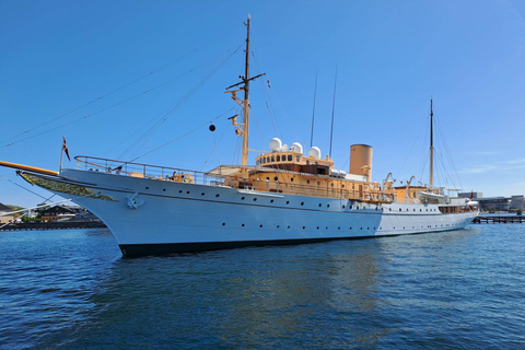 Köpenhamn: 2,5-timmars &quot;Must See&quot;-cykeltur med lokal guide