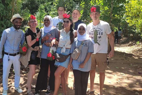 Zanzibar : forêt de Jozani, ferme d'épices et nage avec les tortuesZanzibar : Forêt de Jozani, ferme d'épices et nage avec les tortues