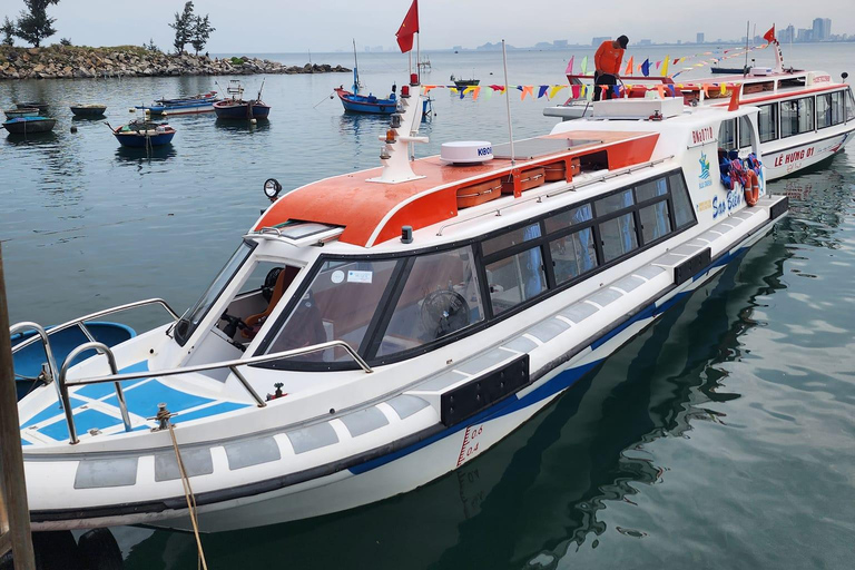 Da Nang: Son Tra Peninsula Snorkeling