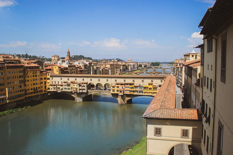 Florence: visite guidée de 4 heures de l'Académie et des galeries des Offices