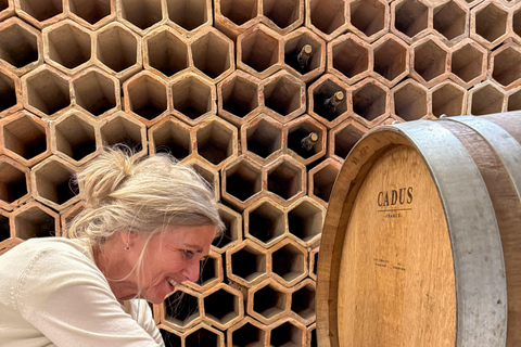 Douro Valley: Wine & Olive Oil Tour with Boat & Lunch Douro Valley: 2 Wineries, Boat Cruise & Traditional Lunch