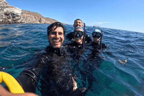 La Paz: Espiritu Santo Island Sea Lion Snorkeling