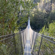 From Hobart: Tahune Walk and Hastings Cave