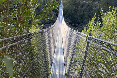 From Hobart: Huon Valley, Platypus and Tahune Walk
