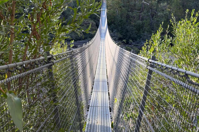 From Hobart: Huon Valley, Platypus and Tahune Walk