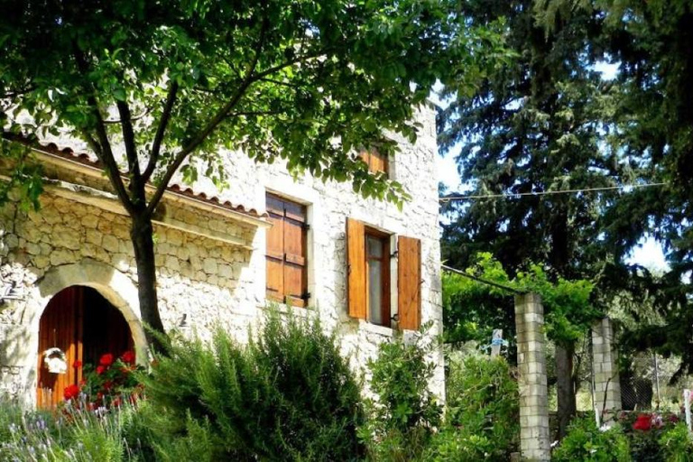 Chania: Kreteńskie wino, oliwa z oliwek i warsztaty kulinarne