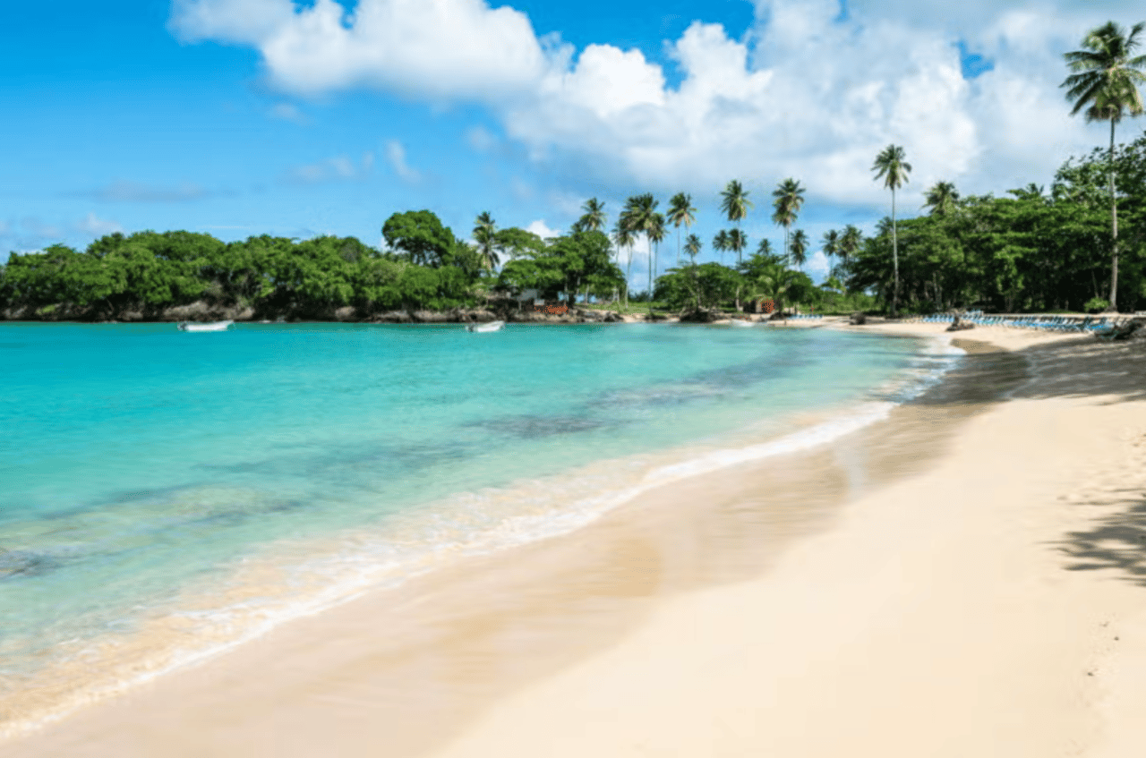 Privater Ausflug zum Strand von Rincón & Abenteuer auf dem Land