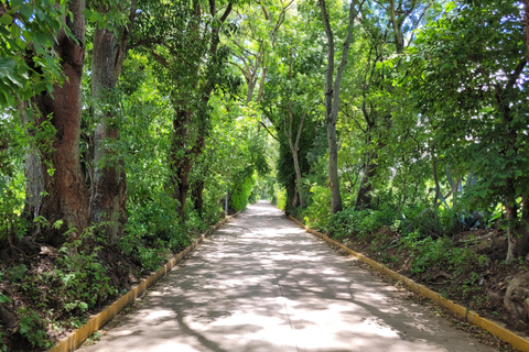 From Oaxaca: MTB Guided Ride to Teotitlan del Valle
