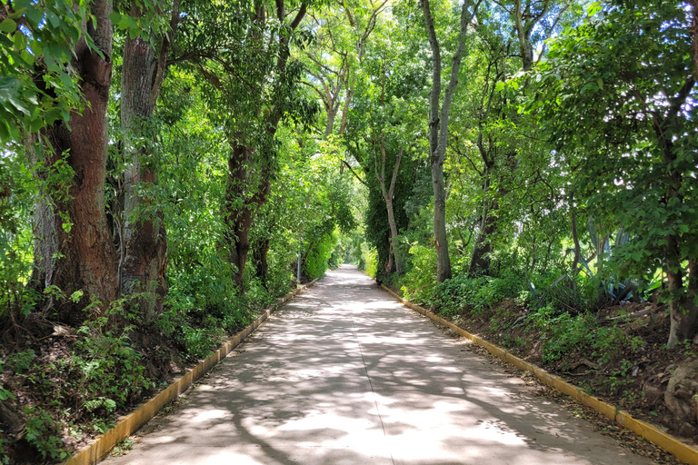From Oaxaca: MTB Guided Ride to Teotitlan del Valle