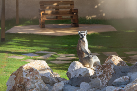Rhodes: Farma of Rhodes Petting Zoo Half-Day Trip