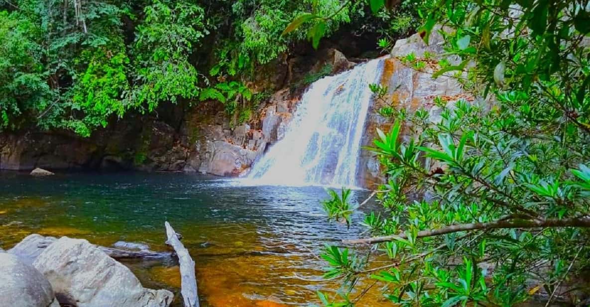 Sinha Raje Sinharaja Rainforest Tour | GetYourGuide