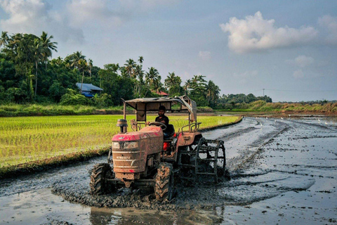 Kochi: Full-Day tour with Temple, Farming & Village Life