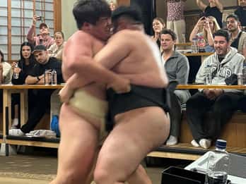 Sumo Show and Dinner in a Historic Sumo House