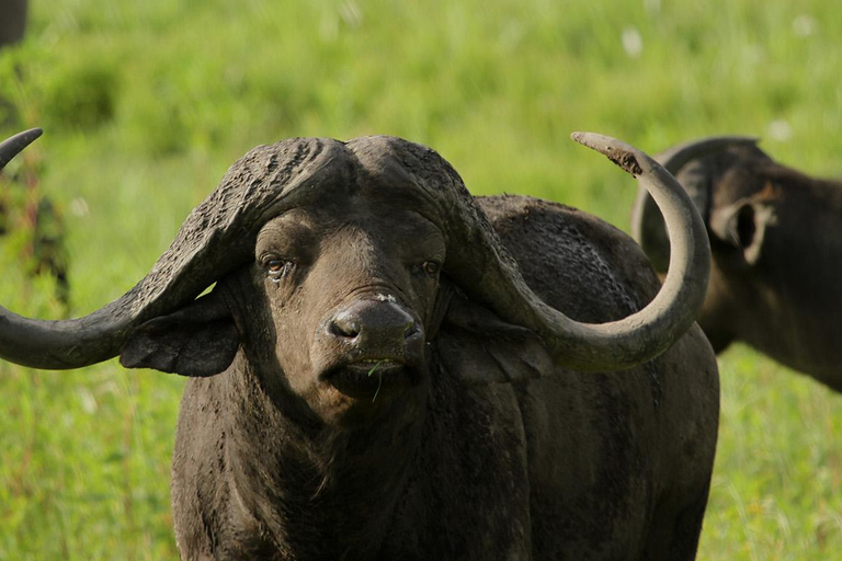 St Lucia, KZN : 3-Day Wildlife and Cultural Safari