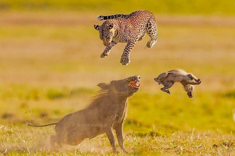 Kenya e Tanzania: Safari della Grande Migrazione di 10 giorni