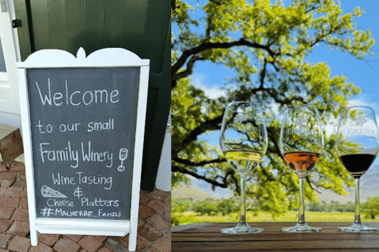 Città del Capo: escursione di un giorno a Stellenbosch, Franschhoek e Paarl