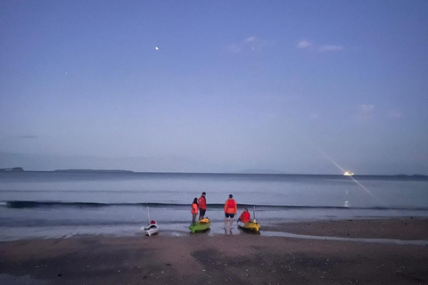 Auckland: Bioluminescence Kayak Tour with Guide