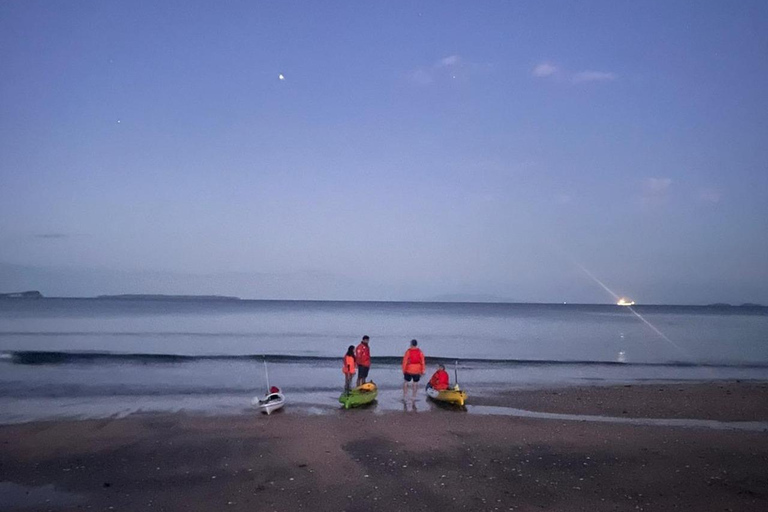 Auckland: Bioluminescence Kayak Tour with Guide
