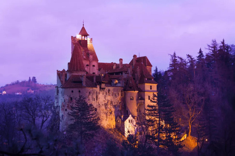 布加勒斯特：佩列斯城堡、德古拉城堡和布拉索夫一日旅行（乘坐厢车）