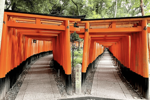 Tokyo: Kyoto Day Trip by Bullet Train with Licensed Guide