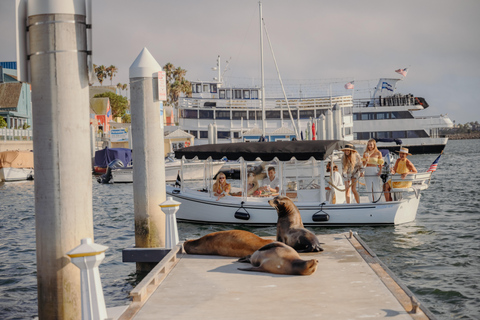 Los Angeles: Sea Lions Watching Cruise 90 Min Sea Lions Adventure Cruise